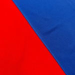 Jersey Barcelona Edición Especial Bicentenario